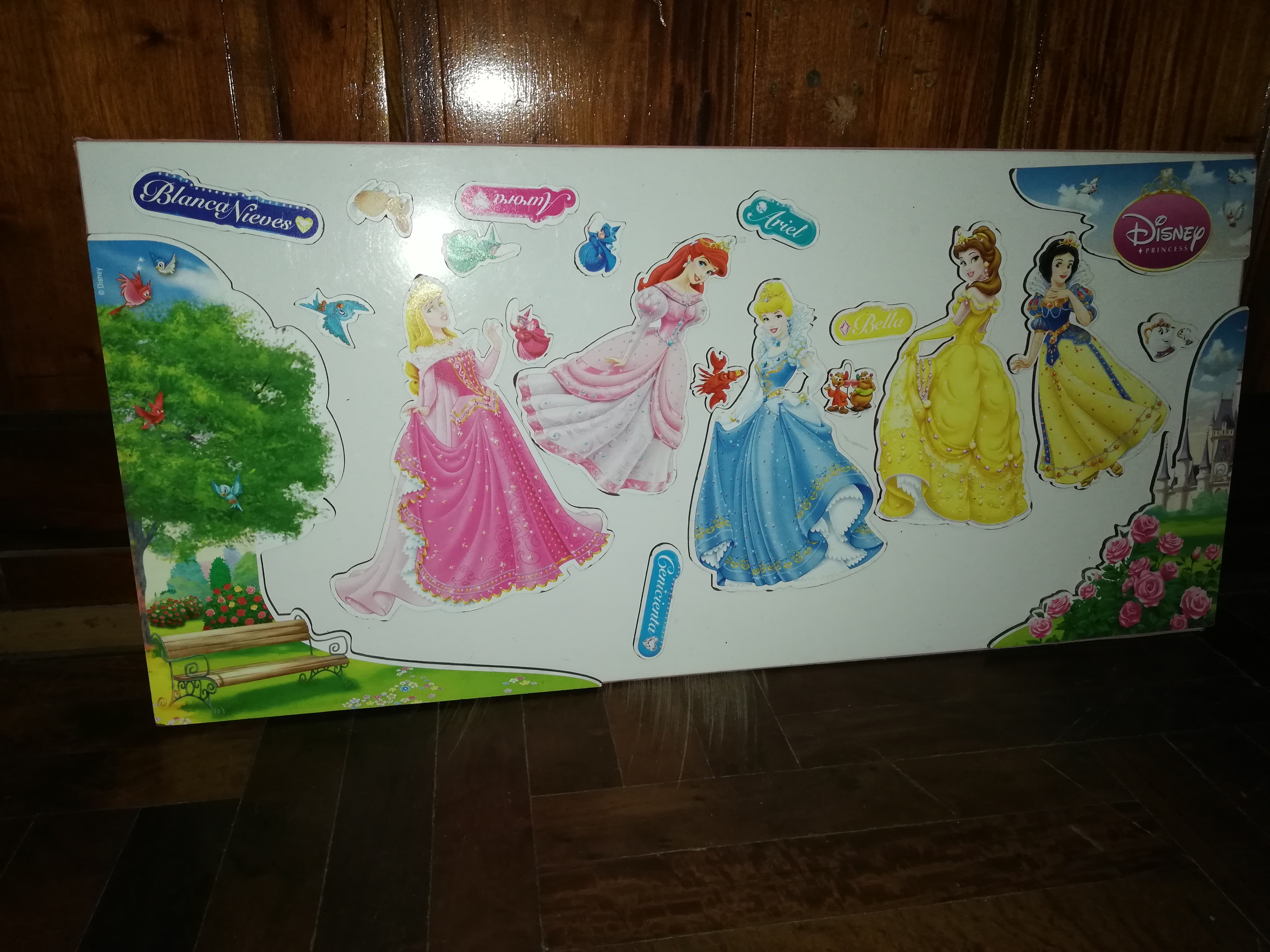 Pizarra magnética con princesas y sus accesorios imanados. Usada